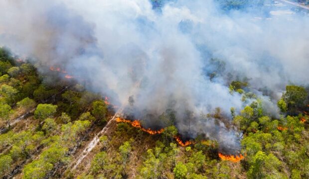 Incendi boschivi in Italia