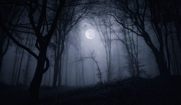 Silent Hill: Townfall - Immersione e Stealth nel Nuovo Gioco Horror