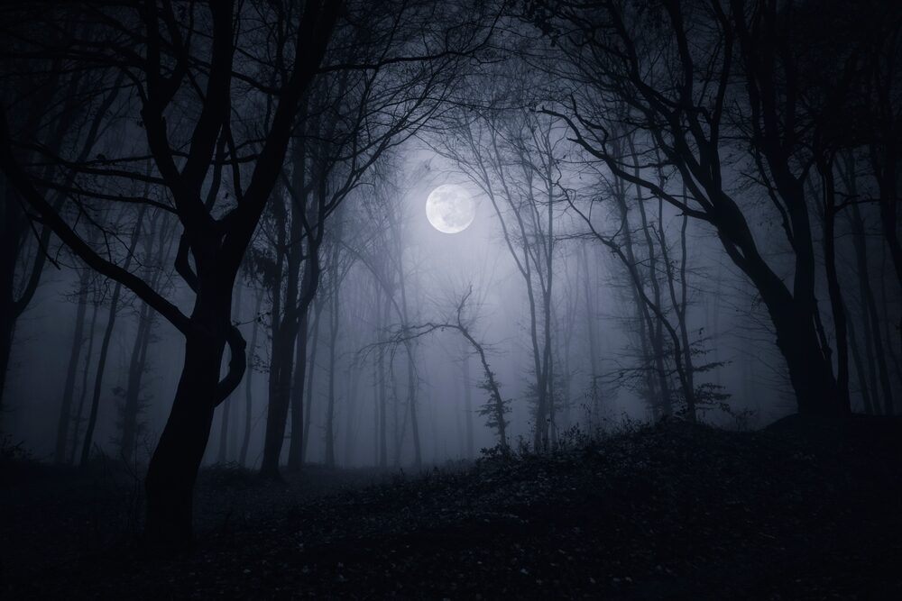 Silent Hill: Townfall - Immersione e Stealth nel Nuovo Gioco Horror