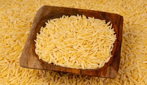 Riso italiano in difficoltà per siccità e importazioni