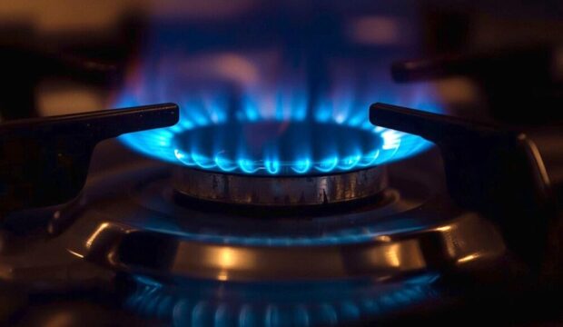 Offerte Alperia per luce e gas