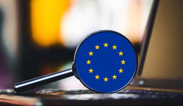 Immagine rappresentativa dell'EU Inc