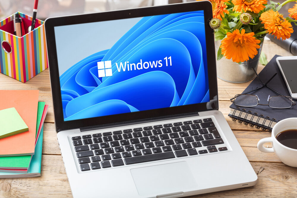 Grafico delle installazioni di Windows 11