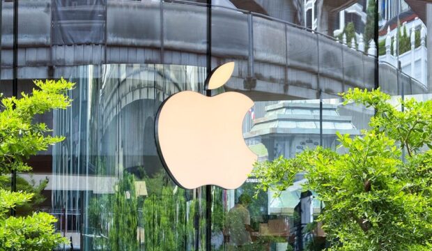 HomeView, il nuovo hub domestico di Apple