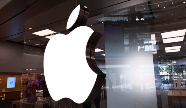 Immagine rappresentativa dell'iPhone Duo